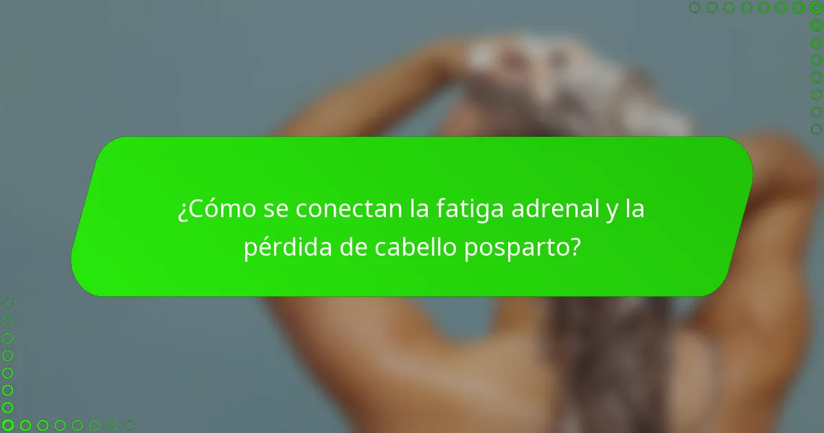 ¿Cómo se conectan la fatiga adrenal y la pérdida de cabello posparto?