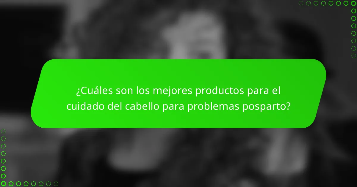 ¿Cuáles son los mejores productos para el cuidado del cabello para problemas posparto?