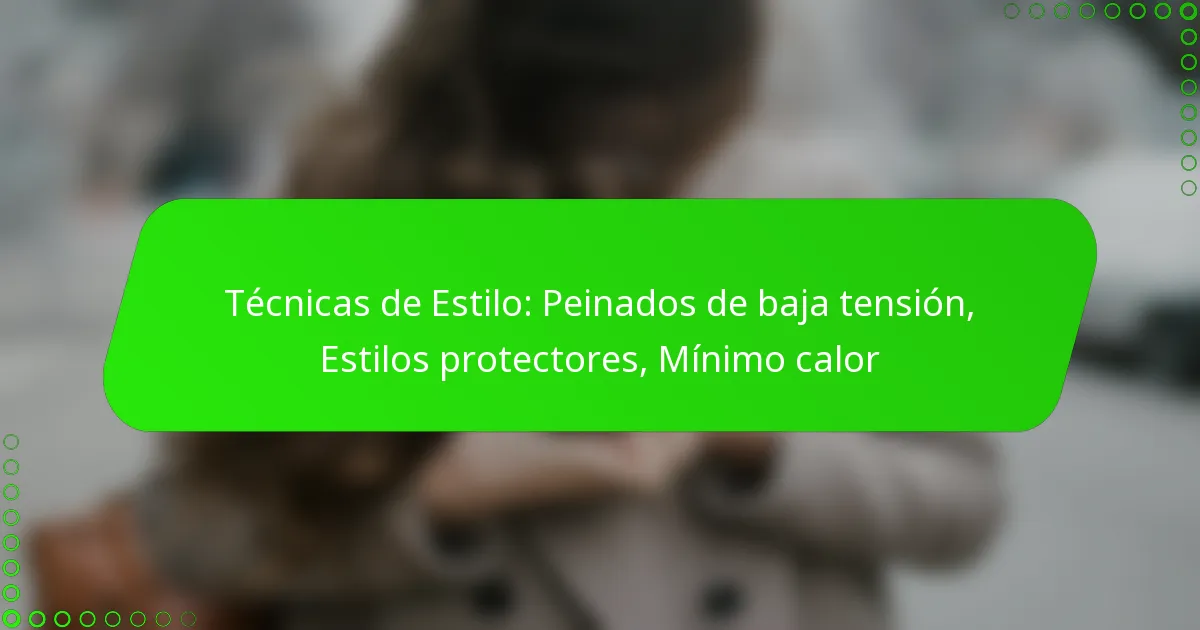 Técnicas de Estilo: Peinados de baja tensión, Estilos protectores, Mínimo calor