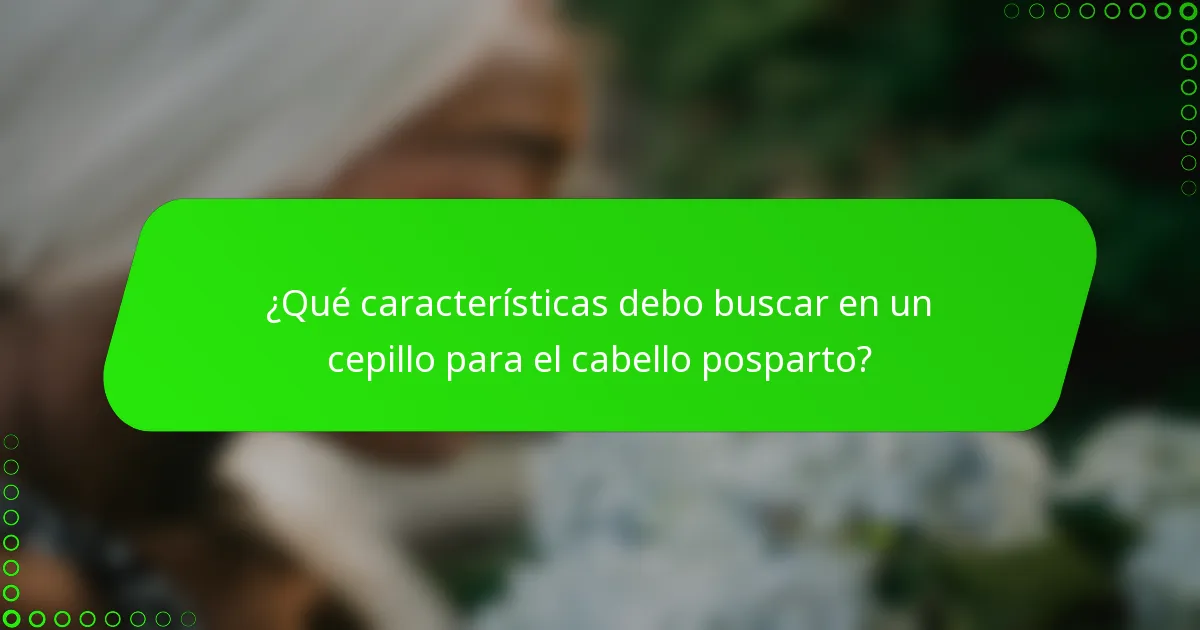 ¿Qué características debo buscar en un cepillo para el cabello posparto?