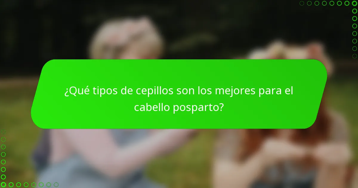 ¿Qué tipos de cepillos son los mejores para el cabello posparto?